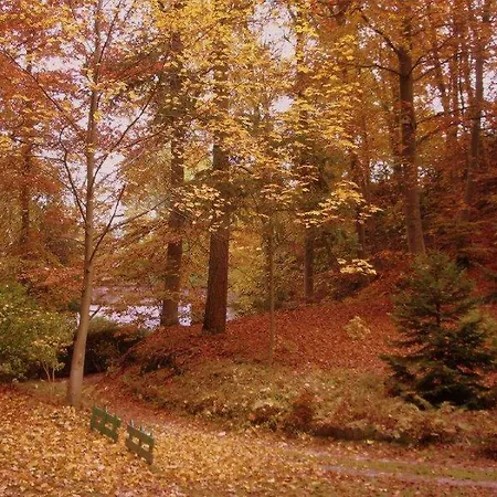 Les Roches Brunes - Chambres D'hotes Fleurines