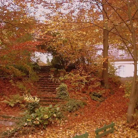 Les Roches Brunes - Chambres D'hotes Bed & Breakfast